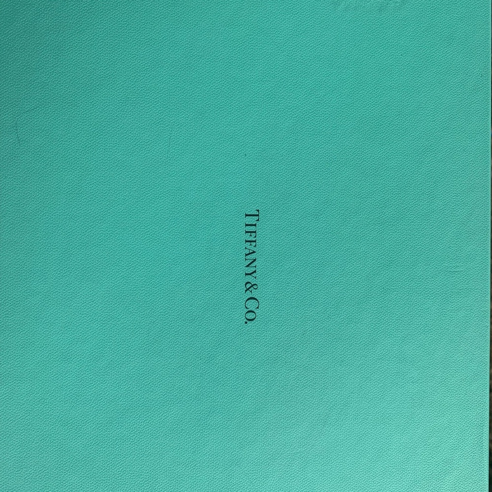 Tiffany & Co. Turquoise Leather Women's Bag - Picture 8 of 8